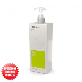Balance Shampoo per Capelli Grassi 1000ml Morphosis FRAMESI