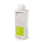 Balance Shampoo für fettiges Haar 250ml FRAMESI Morphosis FRAMESI - 1