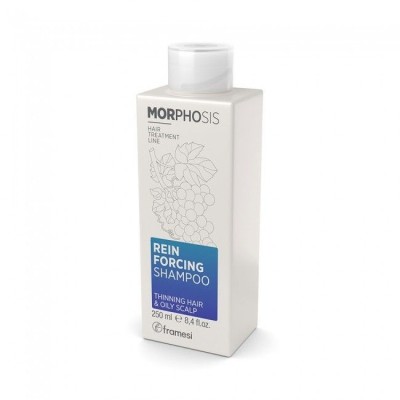 Reinforcing Shampoo 250ml Morphosis FRAMESI